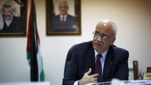 Palestine forme un comité chargé du suivi des plaintes devant la CPI - ảnh 1